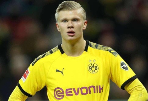 以上类别按 以上类别按